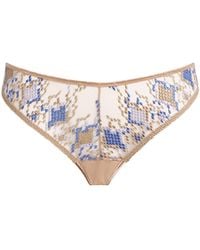 Aubade - Cotton Poetic Delights Tanga Briefs - Lyst
