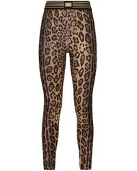 Dolce & Gabbana - Leopard Print High-rise Leggings - Lyst