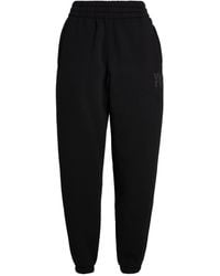alexander wang foundation terry sweatpant