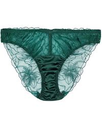 Fleur Of England - Eva Floral-embroidered Tulle Briefs - Lyst