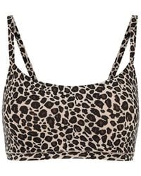 Chantelle - Soft Stretch-Print Padded Soft-Cup Bra - Lyst