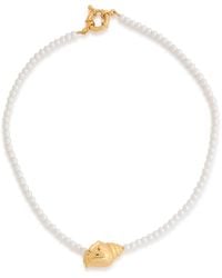 Timeless Pearly - Shell Necklace - Lyst