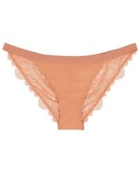 Love Stories - Wild Rose Blush Lace Briefs - Lyst