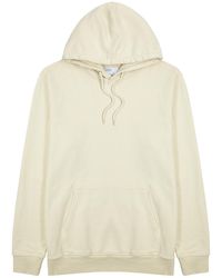COLORFUL STANDARD Off-white Hooded Cotton Sweatshirt