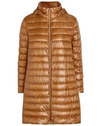 Herno - Panelled Padded Hooded Shell Jacket - Lyst