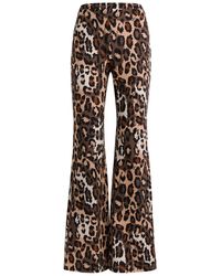 Diane von Furstenberg - Brooklyn Leopard-Print Flared Jersey Trousers - Lyst