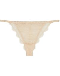 Love Stories - Charlotte Lace Thong - Lyst
