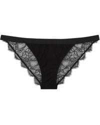 Love Stories - Wild Rose Lace Briefs - Lyst