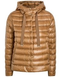 Herno - Padded Nylon Jacket - Lyst