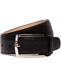 hackett belt
