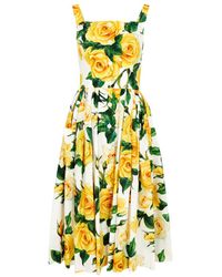 Dolce & Gabbana - Floral-Print Cotton Midi Dress - Lyst