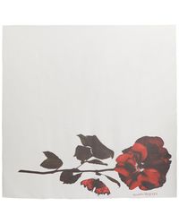 Alexander McQueen - Rose And Logo Print Silk Scarf - Lyst