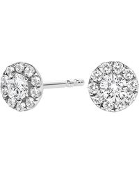 Haus of Brilliance - 14K 1/3 Cttw Lab-Grown Diamond Halo Stud Earring (F-G Color, Vs1-Vs2 Clarity) - Lyst
