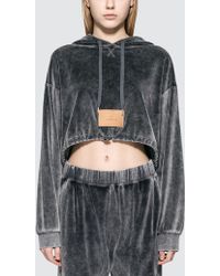 Alexander Wang Velour Terry Cropped Hoodie - Gray