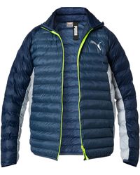 PUMA - Herren Steppjacke Mikrofaser/Funktion Unifarben - Lyst