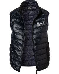 EA7 - Herren Daunenweste Mikrofaser Unifarben - Lyst
