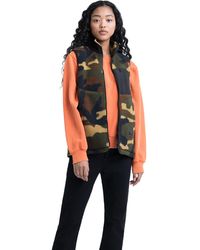 the north face women's rosie sherpa vest