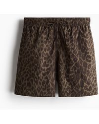H&M - Baumwollshorts mit Kordelzug - Lyst