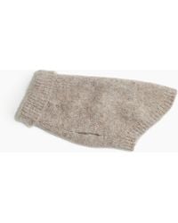 H&M - Flauschiger Hundepullover - Lyst