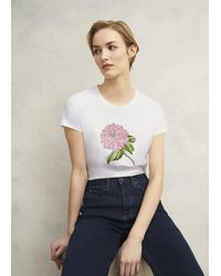 Hobbs - Pixie Emb T-Shirt - Lyst