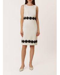 hobbs chantelle dress