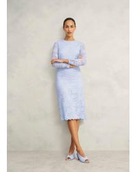 Hobbs - Ottilie Lace Sequin Dress - Lyst