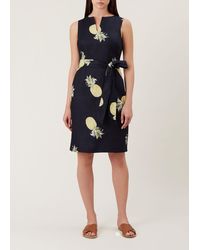 oasis amalfi ditsy skater dress