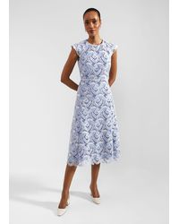 Hobbs - Petite Phoebe Lace Dress - Lyst