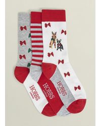 Hobbs - Festive Dog Sock Set - Lyst