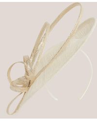 Hobbs - Shona Shimmer Fascinator - Lyst