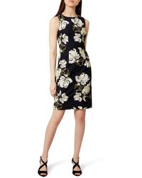 hobbs chantelle dress