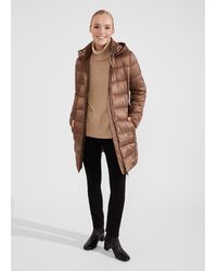 Hobbs - Petite Joelle Hooded Puffer - Lyst