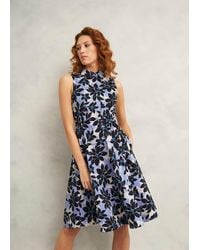 Hobbs - Petite Beki Cotton Dress - Lyst