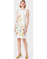 hobbs rhona dress