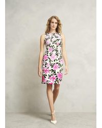 Hobbs - Fiona Dress - Lyst