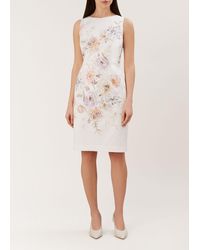 hobbs leonora dress