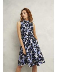 Hobbs - Petite Beki Cotton Dress - Lyst