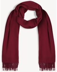 Hobbs - Matilda Scarf - Lyst