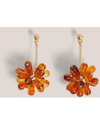 Hobbs - Paulina Beaded Earrings - Lyst