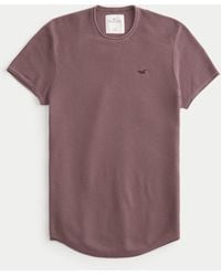 Hollister - Pullover-T-Shirt mit Rundhalsausschnitt, Symbol und abgerundetem Saum - Lyst