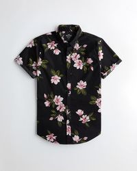 hollister shirts uk