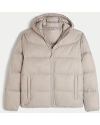 Hollister - Hooded Puffer Jacket - Lyst
