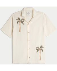 Hollister - Boxy Embroidered Palm Graphic Shirt - Lyst