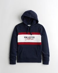 hollister colorblock logo hoodie