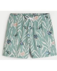 Hollister - Mid-thigh Volley Swim Trunks - Lyst