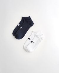 hollister mens socks