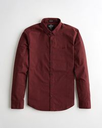 hollister shirts uk