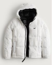 Hollister Down and padded jackets for Men | Online Sale up to 56% off |  Lyst UK
