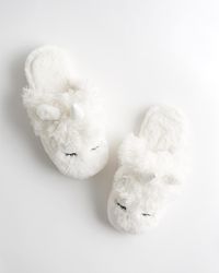 hollister koala slippers