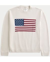 Hollister - Relaxed American Flag Graphic Crew Sweater - Lyst